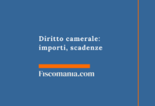 Diritto camerale 2026: importi, scadenze e maggiorazione del 20% Diritto-camerale-importi-scadenze-maggiorazione-20%