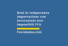 Beni-temporanea-importazione-lavorazioni-non-imponibili-IVA
