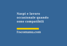 Naspi-lavoro-occasionale-compatibili