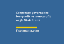 Governance-for-profit-non-profit-corporation-USA-consulenza-online