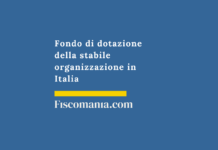 Fondo-di-dotazione-stabile-organizzazione-branch-consulenza-online