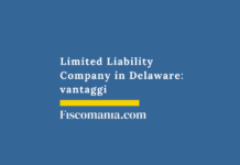 Limited Liability Company in Delaware: vantaggi LLC-delaware-caratteristiche-vantaggi-imprenditori-italiani