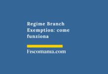Regime Branch Exemption: come funziona Regime-branch-exemption-come-funziona-pianificazione-fsicale-internazionale