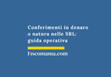 Conferimenti in denaro o natura nelle SRL: guida operativa Conferimenti-SRL-denaro-natura-guida-operativa
