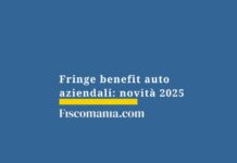 fringe-benefit-auto-aziendali