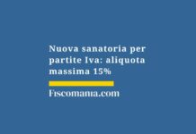 nuova-sanatoria-partite-iva