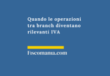 Quando-operazioni-branch-diventano-rilevanti-IVA-casa-madre-gruppo-iva