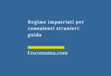 Regime-impatriati-consulenti-stranieri-guida-consulenza-online-commercialista