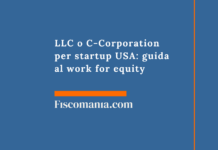 LLC o C-Corporation per startup USA: guida al work for equity LLC-C-Corporation-startup-USA-guida-work-for-equity