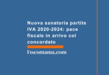 Nuova sanatoria partite IVA 2020-2024: pace fiscale in arrivo col concordato nuova-sanatoria-partite-iva